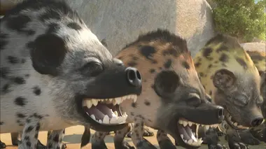 Les as de la jungle à la rescousse S01E11 Le cri qui foudroie