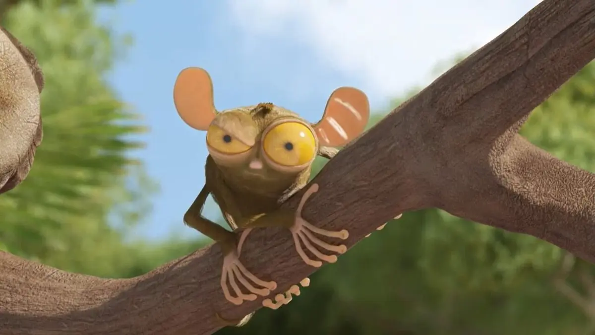 Les as de la jungle : en direct S01E08 La gymnastique
