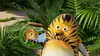 Les as de la jungle : en direct