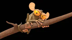 Les as de la jungle : en direct S01E07 Batricia est amoureuse