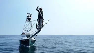Les as du harpon Garder ses ennemis à l'oeil