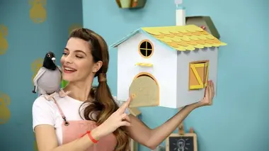 Superwings : Etiquette