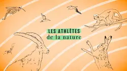 Les athlètes de la nature