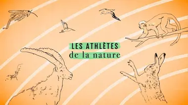 Les athlètes de la nature
