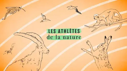 Épisodes de Les athlètes de la nature