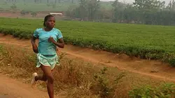 Visuel de Les audacieuses