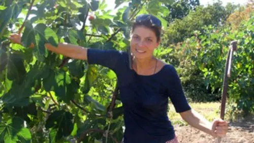 Les aventures culinaires de Sarah Wiener