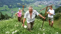 Visuel de Les aventures culinaires de Sarah Wiener dans les Alpes