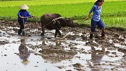 Visuel de Les aventures culinaires de Sarah Wiener en Asie