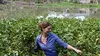 2014 • Les aventures culinaires de Sarah Wiener en Asie