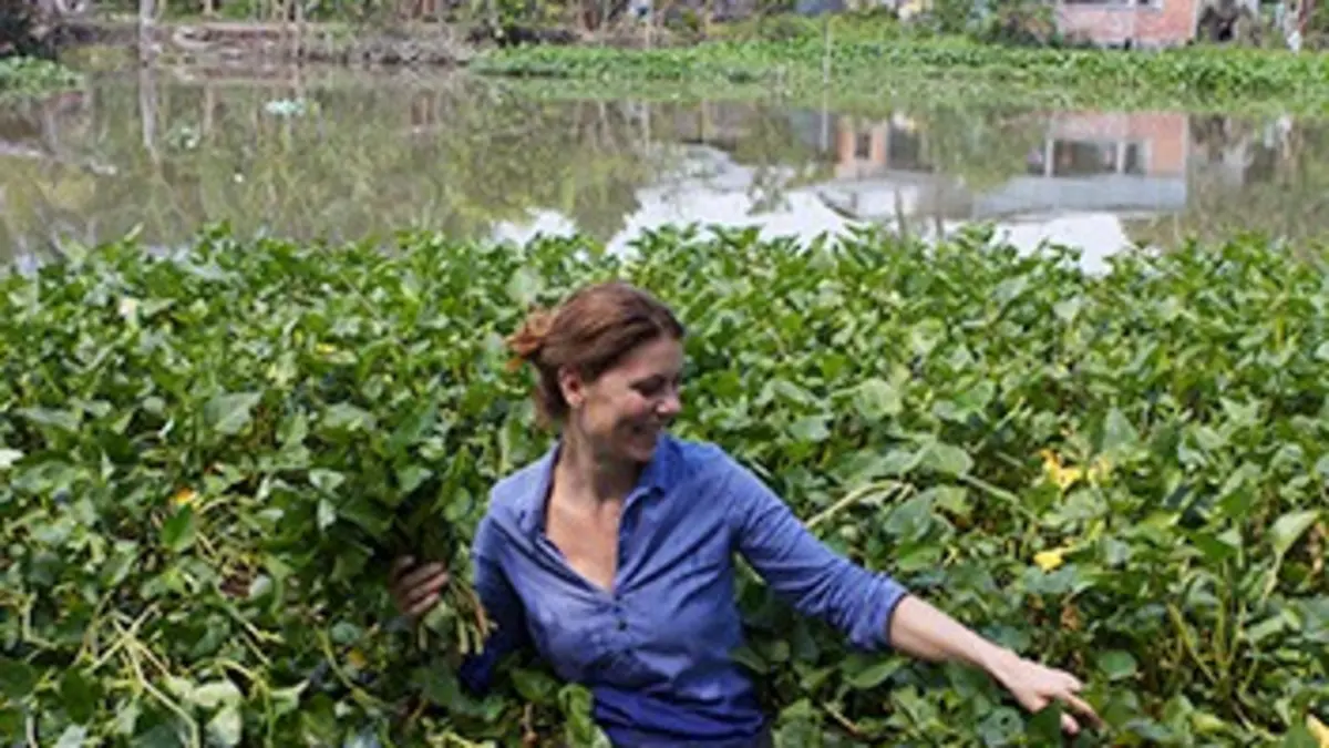 Les aventures culinaires de Sarah Wiener en Asie Les rouleaux de printemps au Viêtnam