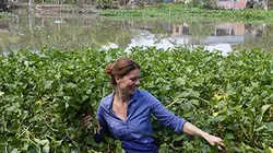 Visuel de Les aventures culinaires de Sarah Wiener en Asie