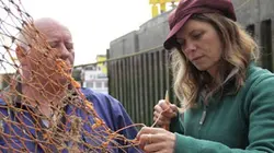 Visuel de Les aventures culinaires de Sarah Wiener en Grande-Bretagne