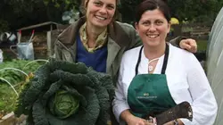 Visuel de Les aventures culinaires de Sarah Wiener en Grande-Bretagne