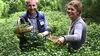2012 • Les aventures culinaires de Sarah Wiener en Grande-Bretagne
