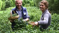 Visuel de Les aventures culinaires de Sarah Wiener en Grande-Bretagne