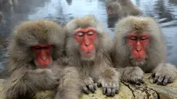 Les Aventures de Bernie S01E23 SOS réparations