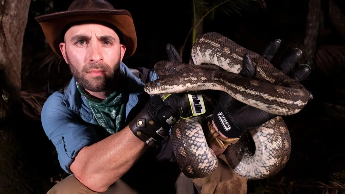 Les aventures de Coyote Peterson Broyé par un python