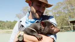 Les aventures de Coyote Peterson  Un dîner avec le diable