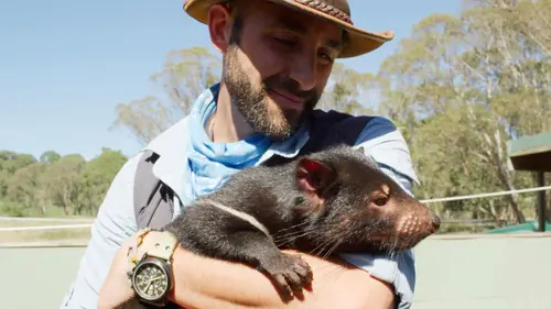 Les aventures de Coyote Peterson Un dîner avec le diable