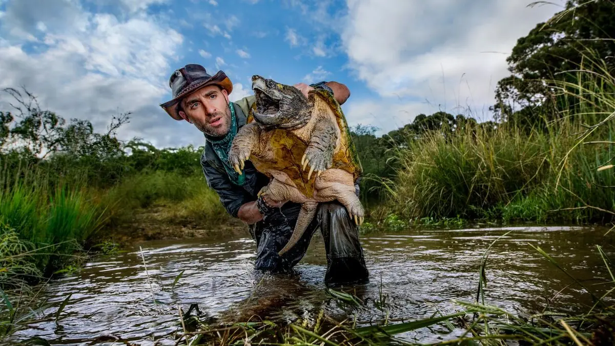 Les aventures de Coyote Peterson La légendaire tortue du Texas