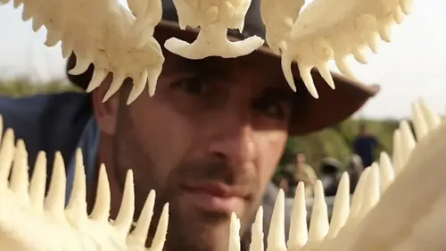 Les aventures de Coyote Peterson Dans l'antre du monstre