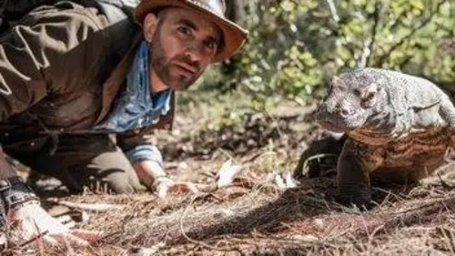 Les aventures de Coyote Peterson