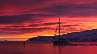 Les aventures de Guirec & Monique Du pôle Nord au pôle Sud - La libération