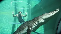 Les aventures de Jack l'intrépide Combat de crocodiles