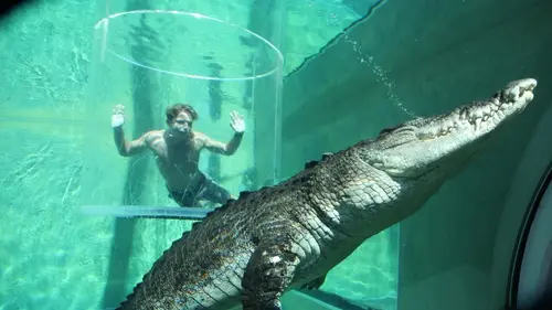 Les aventures de Jack l'intrépide Combat de crocodiles