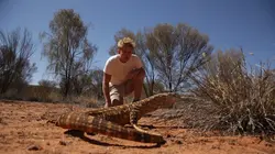 Visuel de Les aventures de Jack l'intrépide