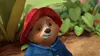 Paddington et les plantes