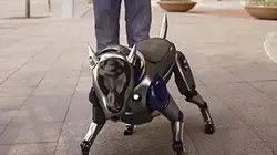 Les aventures de RoboRex