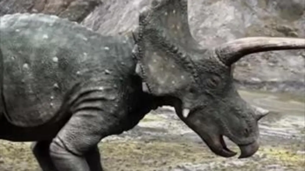 Les aventures des Ceratops E01