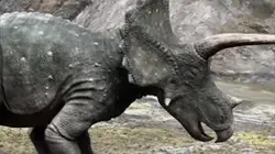 Les aventures des Ceratops E01