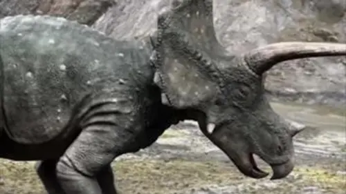 Les aventures des Ceratops E01