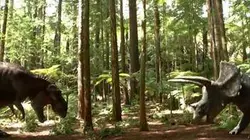 Visuel de Les aventures des Ceratops