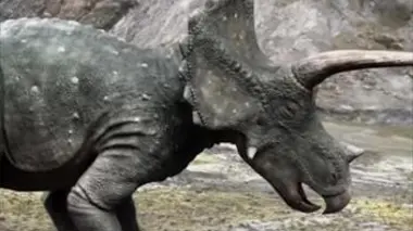 Les aventures des Ceratops E01