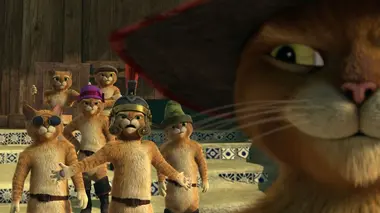 Trop de Chat Potté !