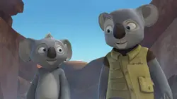 Les aventures extraordinaires de Blinky Bill