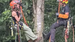 Les aventureuses Marlis, élagueuse grimpeuse en Wallonie