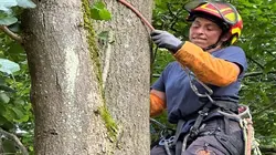 Les aventureuses Marlis, élagueuse grimpeuse en Wallonie