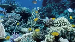 Visuel de Les aventuriers de l'île planète