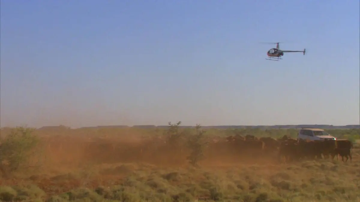 Les avions du bout du monde S01E01 Bolivie, le pilote de l'espoir