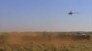 Bolivie, le pilote de l'espoir