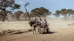 Les Basters de Namibie : bâtards et fiers de l'être