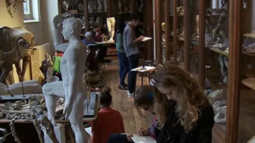 Les Beaux-Arts, effervescence dans la ville