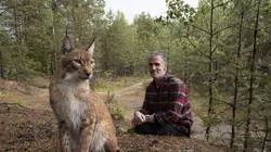 Les bébés lynx et moi En route vers la liberté