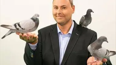 On n'est pas des pigeons à la maison