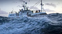 Visuel de Les bleus de la mer